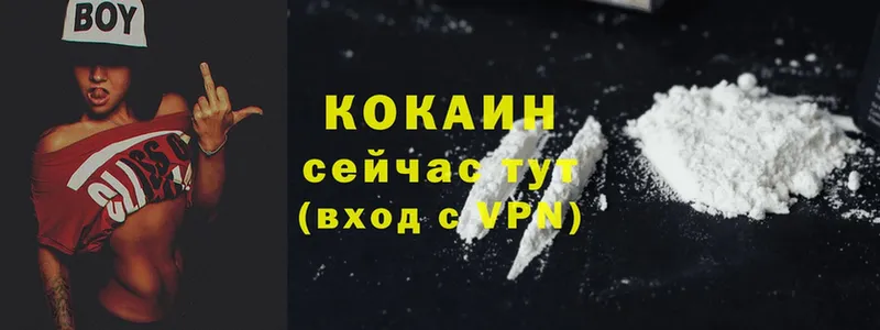 сколько стоит  Пыталово  Кокаин FishScale 