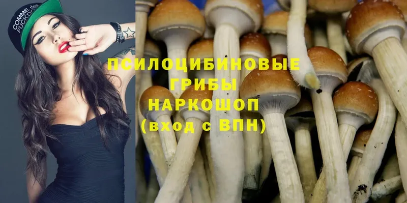 ОМГ ОМГ маркетплейс  Пыталово  Галлюциногенные грибы MAGIC MUSHROOMS 